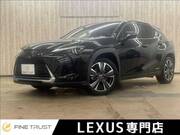 2019 LEXUS UX