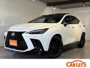 2024 LEXUS NX