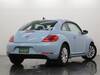 VOLKSWAGEN THE BEETLE