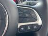 CHRYSLER JEEP COMPASS