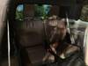 TOYOTA LANDCRUISER 250