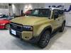 TOYOTA LANDCRUISER 250