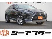 2020 LEXUS RX