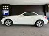 MERCEDES BENZ SLK