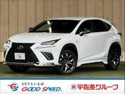 2018 LEXUS NX