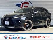 2022 LEXUS NX