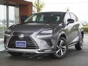 2021 LEXUS NX