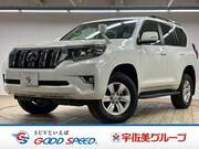2021 TOYOTA LAND CRUISER PRADO TX