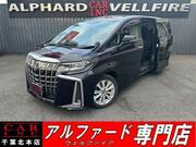 2019 TOYOTA ALPHARD 2.5S