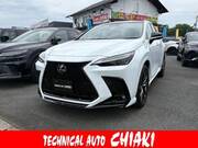 2025 LEXUS NX