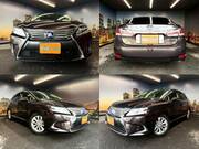 2014 LEXUS HS
