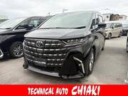 2024 TOYOTA ALPHARD G