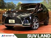 2019 LEXUS RX