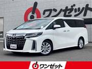 2019 TOYOTA ALPHARD