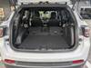 CHRYSLER JEEP COMPASS
