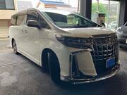 2019 TOYOTA ALPHARD