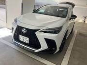 2022 LEXUS NX