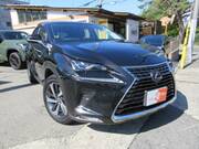 2019 LEXUS NX