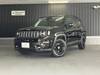 CHRYSLER JEEP RENEGADE