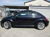 VOLKSWAGEN THE BEETLE