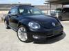 VOLKSWAGEN THE BEETLE