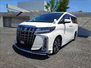 2019 TOYOTA ALPHARD S CPACKAGE