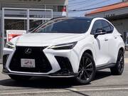 2025 LEXUS NX