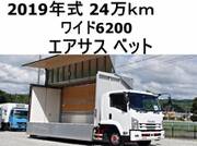 2019 ISUZU FORWARD