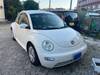 VOLKSWAGEN NEW BEETLE