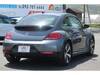 VOLKSWAGEN THE BEETLE