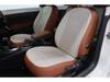 VOLKSWAGEN THE BEETLE