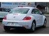 VOLKSWAGEN THE BEETLE