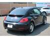 VOLKSWAGEN THE BEETLE