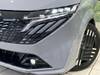 NISSAN OTHER