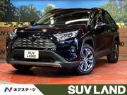 2023 TOYOTA RAV4 G