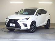 2020 LEXUS NX