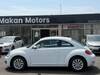 VOLKSWAGEN THE BEETLE