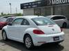 VOLKSWAGEN THE BEETLE