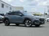 SUBARU OTHER