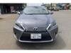 LEXUS HS