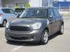 ROVER MINI