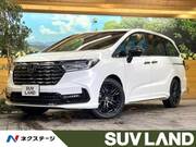 2024 HONDA OTHER