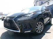 2019 LEXUS NX