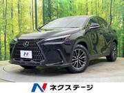 2023 LEXUS NX