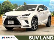 2018 LEXUS NX