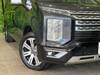 MITSUBISHI OTHER