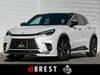 LEXUS OTHER