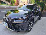 2018 LEXUS NX