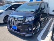 2016 TOYOTA ALPHARD