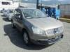 NISSAN DUALIS